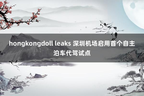 hongkongdoll leaks 深圳机场启用首个自主泊车代驾试点